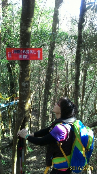 20160229新竹關西蓮苞山,外鳥嘴山31369