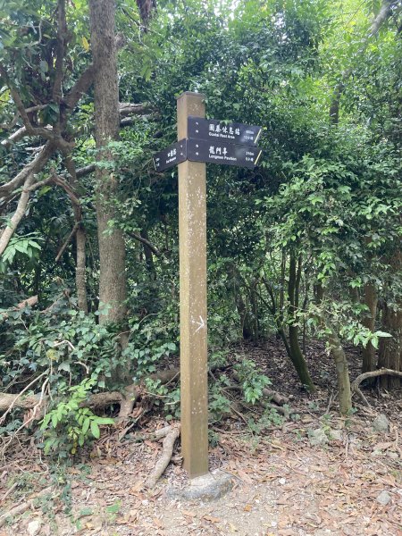 20260221高雄壽山+愛河灣3003349