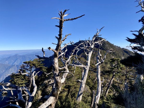 北大武山-西大武山-日湯真1573123