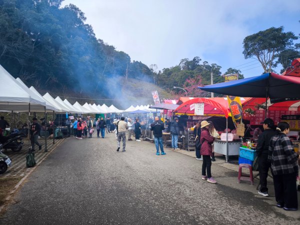 2026-02-08 藤枝山2998422