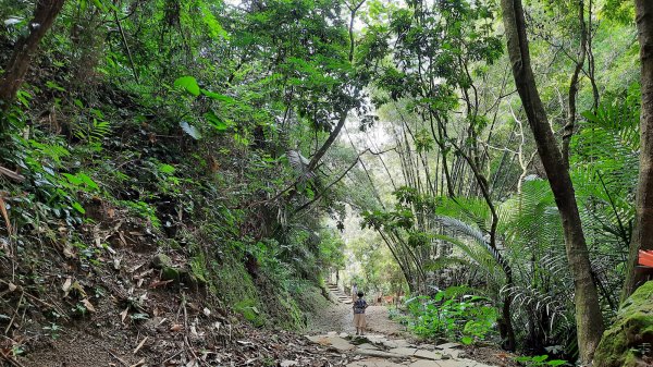 《台中》消暑冰淇淋｜三崁頂健康步道(北坑步道)202208131803452