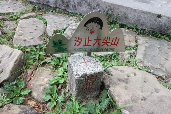 小百岳NO12  汐止大尖山 縱走海拔641公尺 四分子尾山2228972
