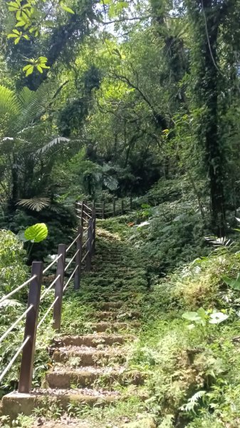 雙溪區雙溪八景之蝠山遠眺、苕谷觀瀑二景3108233