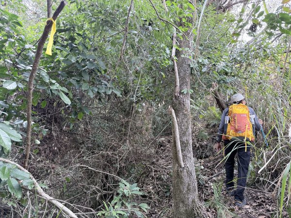 完登新南橫三星-馬馬宇頓山   2026.3.273027492
