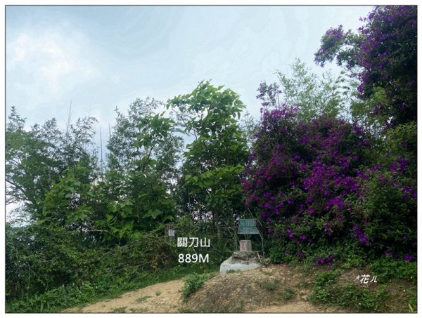 關刀山 (南入口)、關刀山西北峰 連走2804127