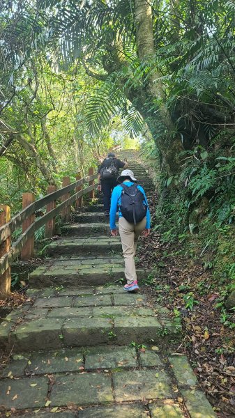 2025-0310臺北大縱走第七段2737270