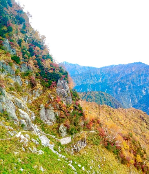 黑部立山秋行2933324