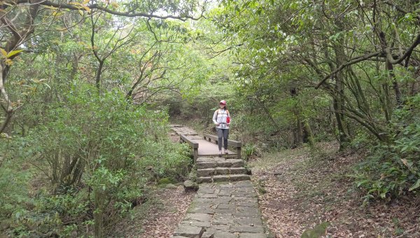 (姨婆趴趴走)第五十一集:台北冷擎步道、金包里大路(魚路古道)2757248
