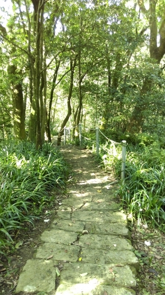 土城大暖尖山(媽祖山)105.05.2949049