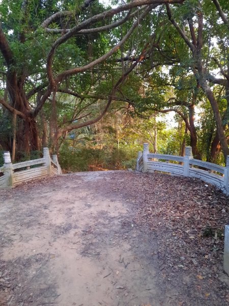 20230304 奇岩山，唭哩岸山，軍艦岩，磺溪山，丹鳳山2054369