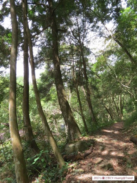 《南投》心靈之旅｜惠蓀林場步道群20171010-212890533