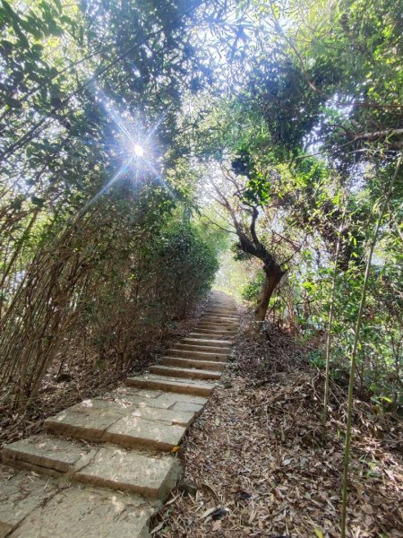 龜山福源山-牛灶坑山-鶯歌火車站走春遊2701332