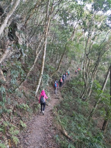 【谷關七雄2】~馬崙山-201911101709873