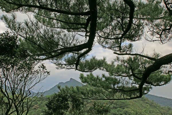 汐止金明山.柯子林山.如意湖O型291413