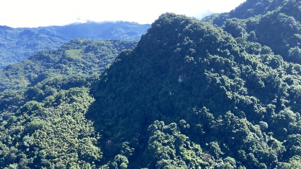 三峽金敏四山連走| Jinmin |金詩塞內|峯花雪月2638436