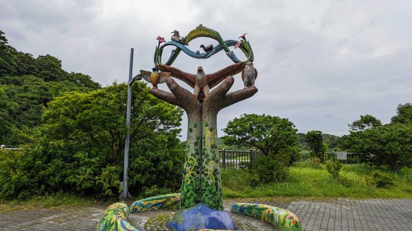 南港四分溪,三重埔埤濕地復育,大坑溪2502965