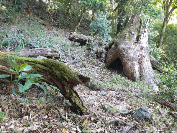 永安山、百志興保山1679616