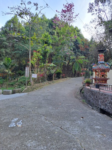 竹山八通關古道社寮段+陳東坑山+溪洲大山ｄ型走202302192037482