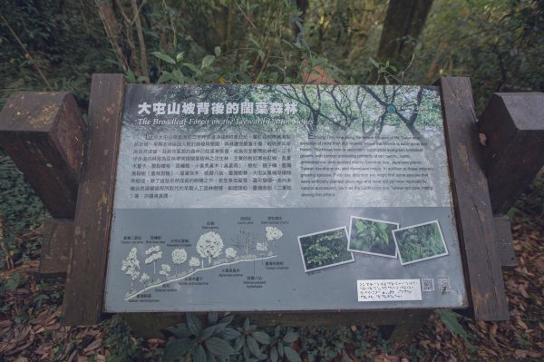 雨鞋登山初體驗-大屯山南峰、大屯山西峰連走1647922