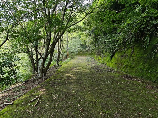 2025_0601 赫威山2802273