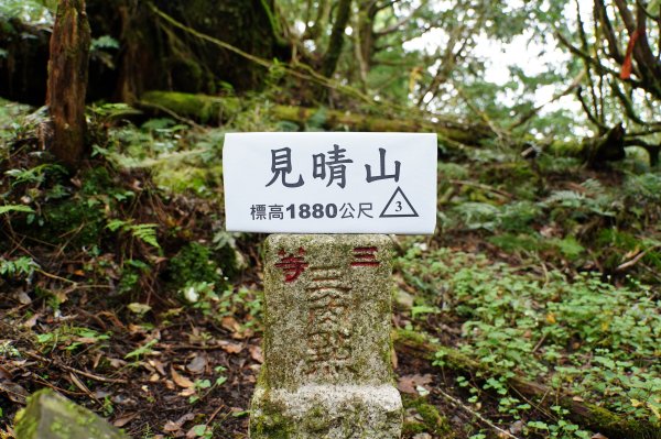 宜蘭 大同 見晴山