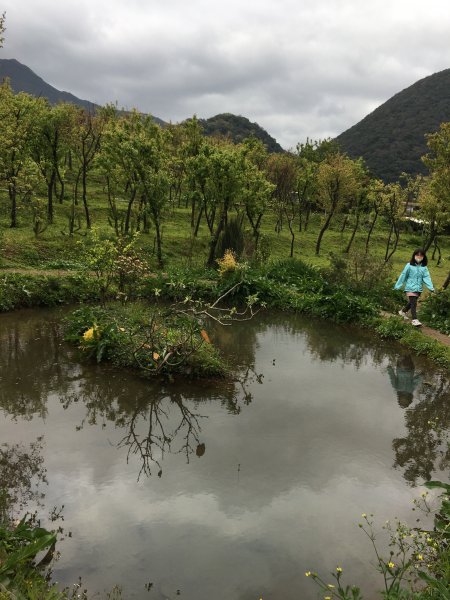 十八分水圳步道2191291