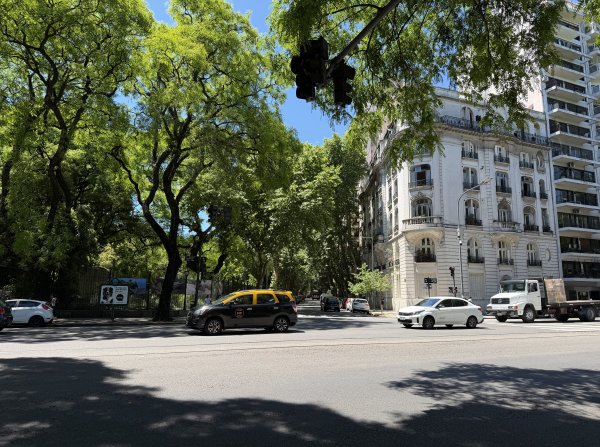 [紐約馬之行-59] 2025_1114 卡洛斯·泰斯植物園-上2953892