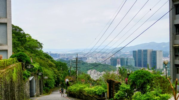大尖山3132931
