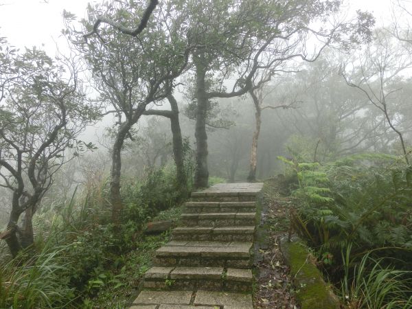 大尖山．天道清修院．秀峰瀑布107053