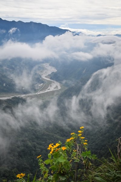 馬那邦山的雲海季2650889