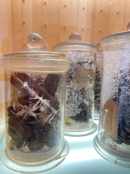 雨天備案💙 台灣博物館的古生代館-台大動植物館免費參觀-北投♨️季2807489