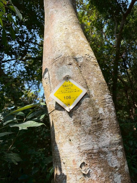 桃園 大溪 頭寮山3004517