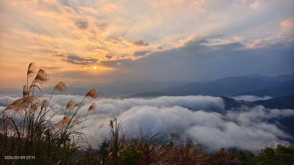 #翡翠水庫壩頂 #雲海 #日出 #陽明公園 #夕陽1/92979342