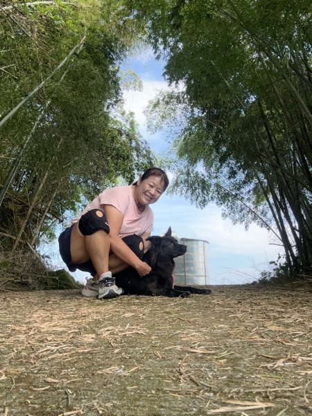 後棟仔山、挑筍古道、大尖山2920257