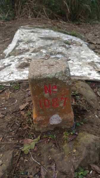 三腳南山〈H1187M〉（小百岳）294361