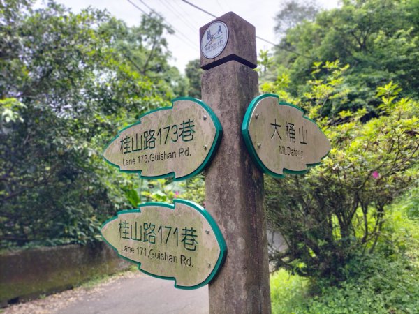 大桶山麓烏來桂山路171巷O型走2498572