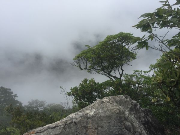 鳶嘴稍來山試水溫166938