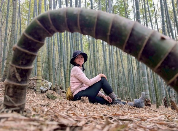 鹿谷小半天七連峰2992105