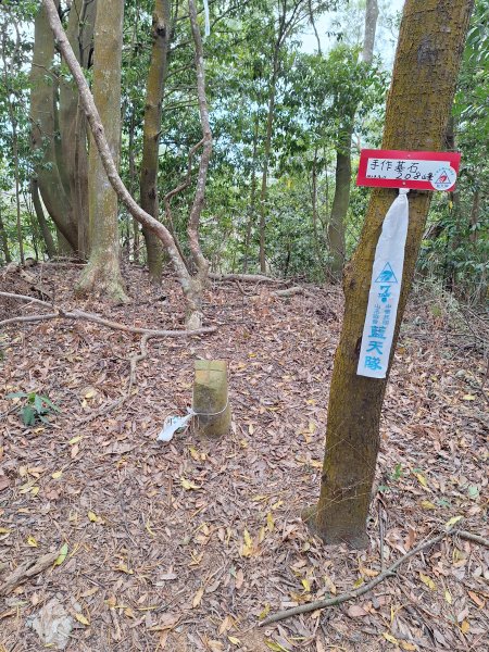 三段崎古道202401222696408