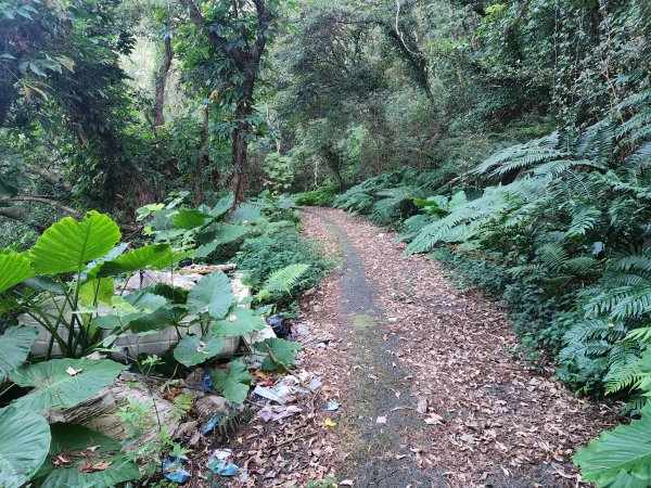 20250913秀才步道福人步道保甲古道2929843