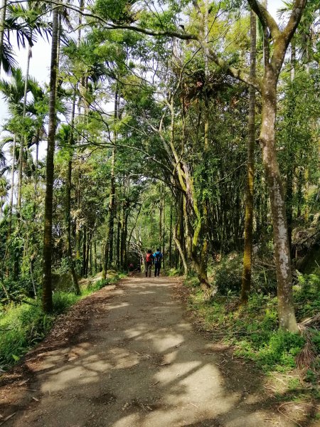 台南白河~台南第一高峰。 關仔嶺大凍山917815