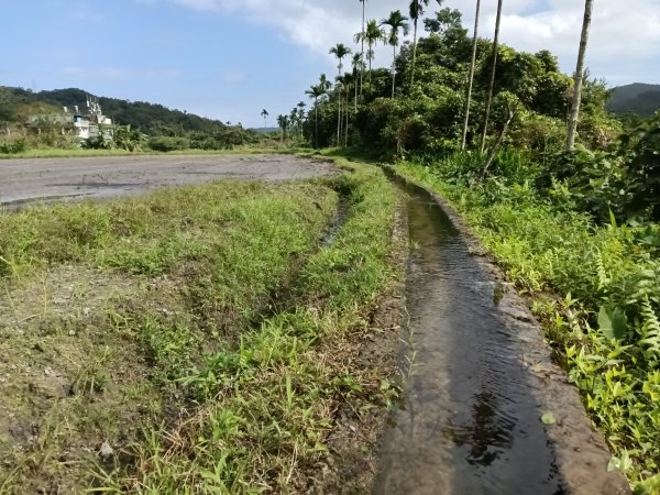 雙溪區冬陽下閃閃菅芒花2949411
