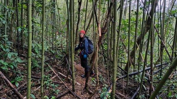 金牌縱走202502082709494