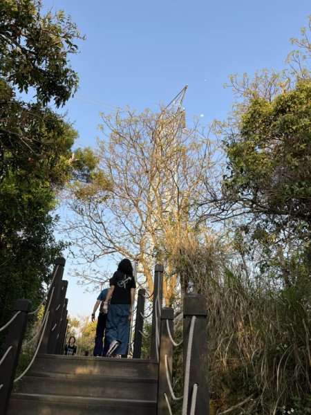 大坑9-1號步道2732245