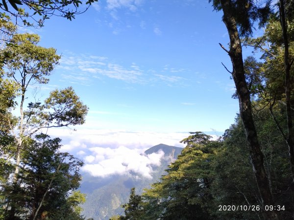 西巒大山．郡大山．治茆山1144969