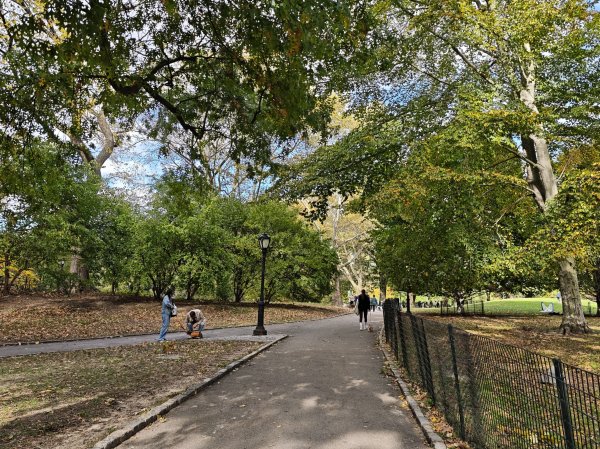 [紐約馬之行-11] 2025_1101 中央公園-畢士大露臺2945108