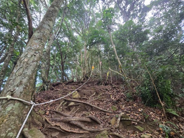 水雲三星～上島山（鳥嘴山）2931247