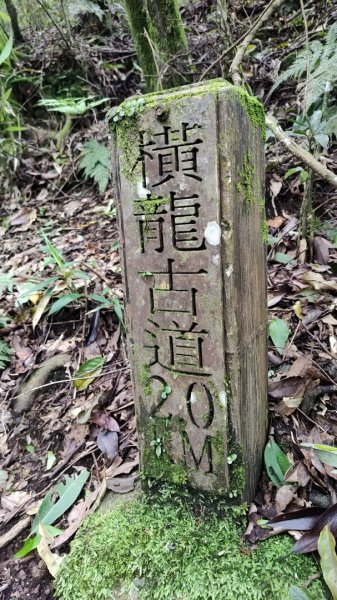 2025/6/14 橫龍山2839239