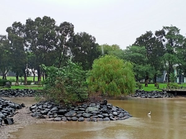 大湖公園 (防災公園)【走路趣尋寶，全臺齊步走】1895260