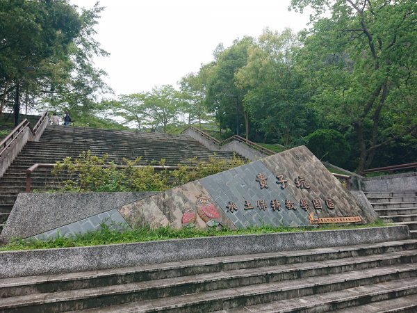 貴子坑親山步道1715206